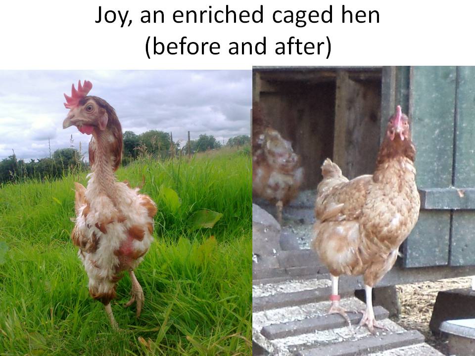 Joy on arrival and a few months later