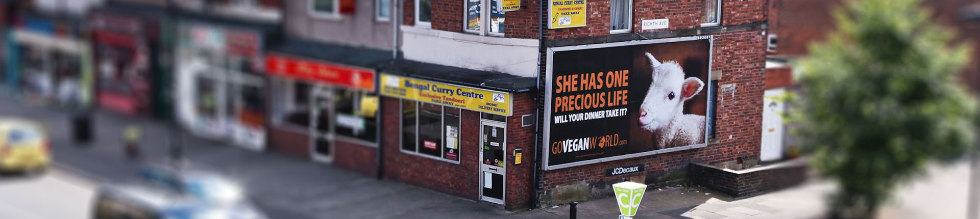 Go vegan World Public Campaign