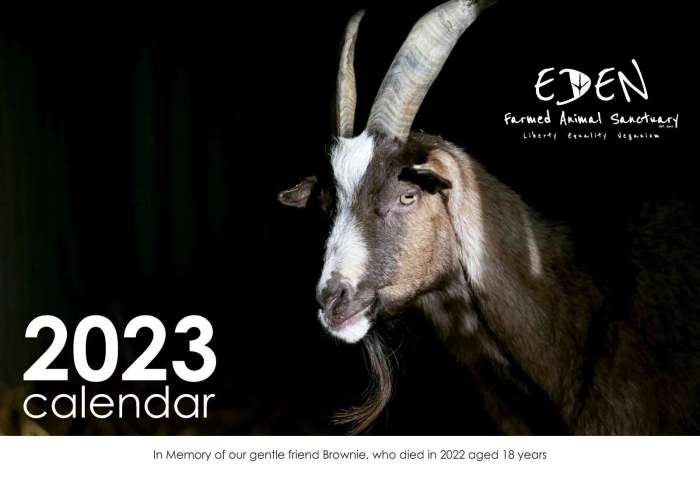 Eden Farmed Animal Sanctuary - Calendar 2023