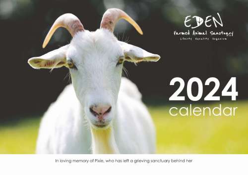 Eden Farmed Animal Sanctuary - Calendar 2024 - front cover