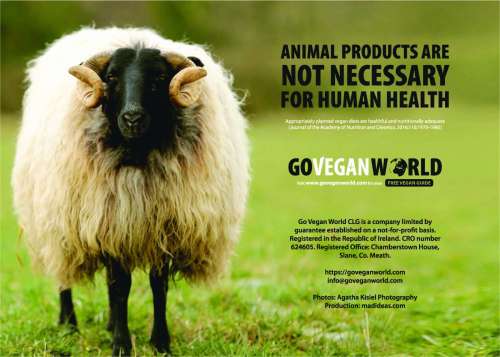 Calendar 2022 - Go Vegan World - back cover