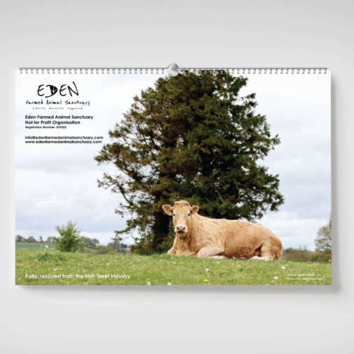 Eden Farmed Animal Sanctuary Calendar 2026 back