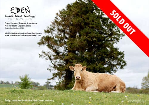 Calendar 2026 Front Cover - Eden Farmed Animal Sanctuary