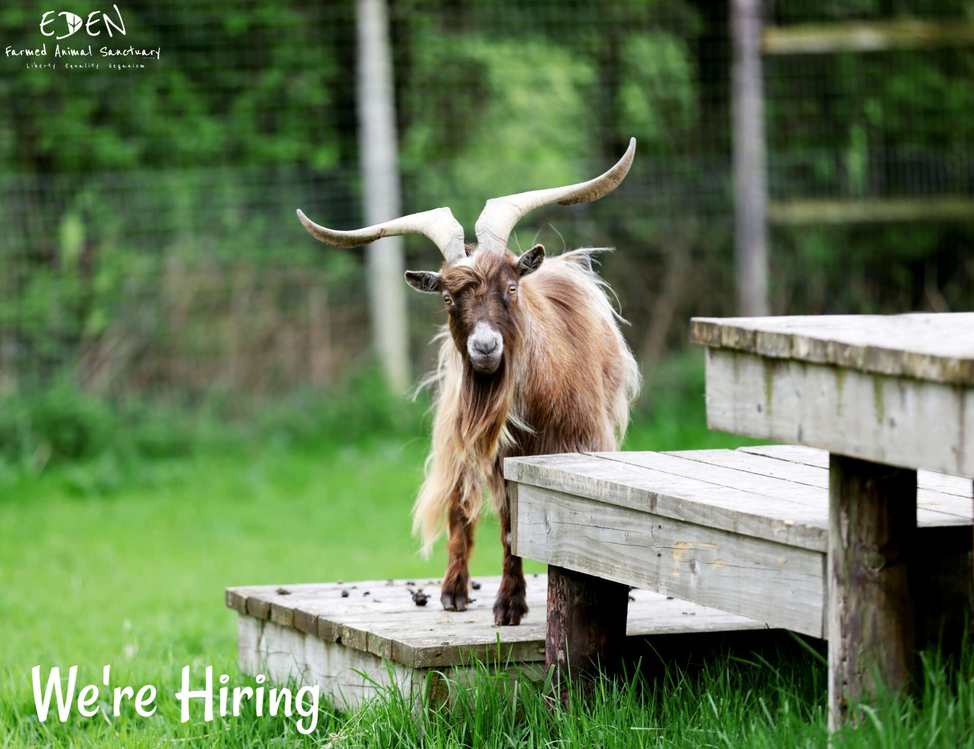 WE ARE HIRING-Dec 2024